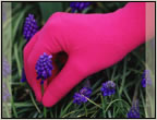 handschoen4